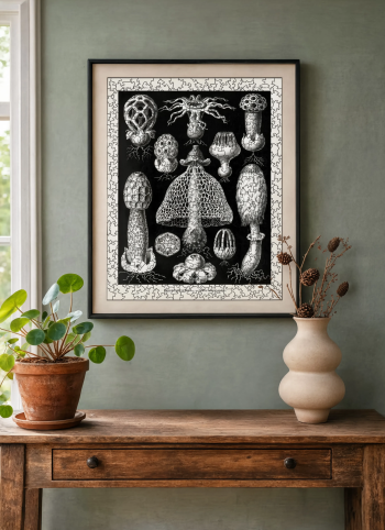 Mise en situation d'un puzzle en bois représentant la planche scientifique de champignons et basidiomycètes encadré au mur dans un intérieur élégant.