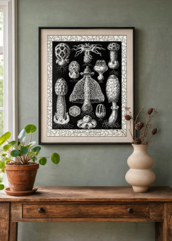 Mise en situation d'un puzzle en bois représentant la planche scientifique de champignons et basidiomycètes encadré au mur dans un intérieur élégant.