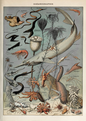 Sublimez votre décoration intérieure avec notre puzzle en bois aux illustrations de tortues, présenté ici dans une entrée chic et chaleureuse. Pensé pour s'intégrer facilement dans des cadres standard, il combine un loisir créatif stimulant à un rendu esthétique haut de gamme.