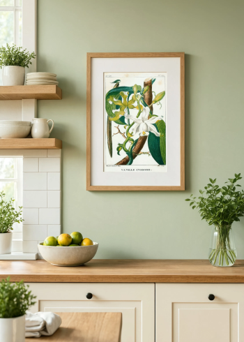 Puzzle en bois de la vanille inodore encadré et exposé dans une cuisine lumineuse aux murs vert sauge.