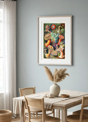 Mise en situation élégante du puzzle en bois représentant la planche scientifique des anémones de mer, encadré et suspendu sur un mur gris-bleu dans une salle à manger lumineuse au style naturel.