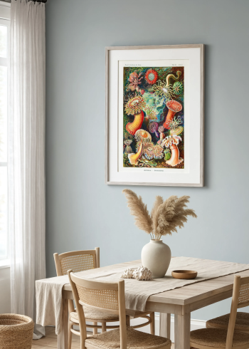 Mise en situation élégante du puzzle en bois représentant la planche scientifique des anémones de mer, encadré et suspendu sur un mur gris-bleu dans une salle à manger lumineuse au style naturel.