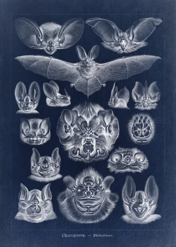 Puzzle en bois représentant des chauves-souris en négatif sur fond bleu profond, alliant art et nature.