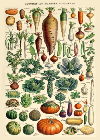 Puzzle en bois illustrant des légumes et plantes potagères colorés, évoquant un potager d'antan.