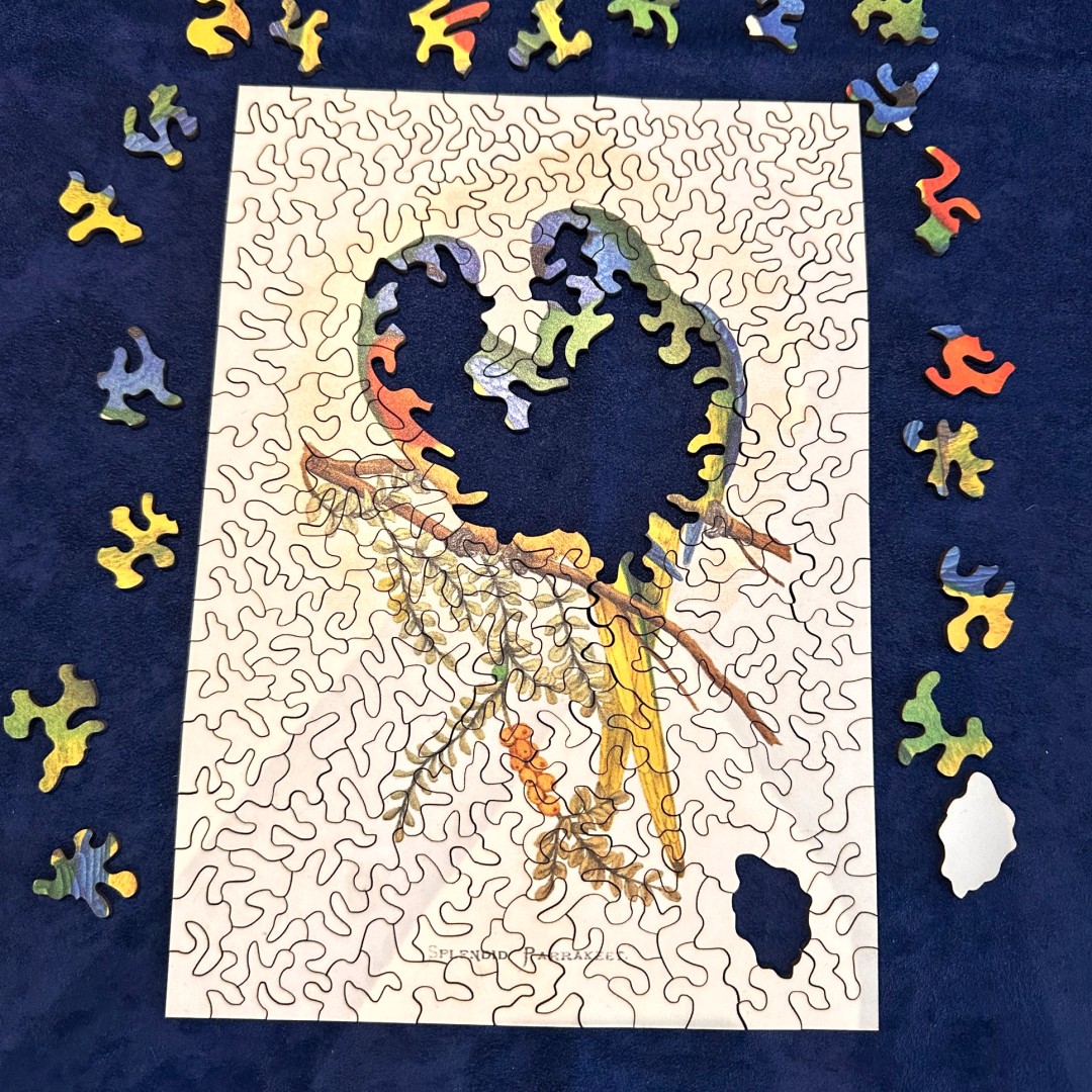 Puzzle en bois d'art Les Perruches en cours d'assemblage sur fond bleu nuit, révélant la découpe organique des pièces.
